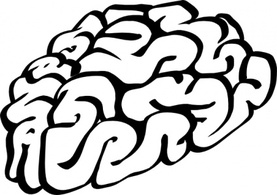 Human - Cartoon Brain Outline clip art 