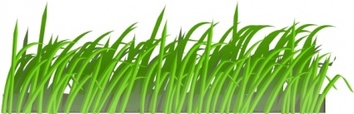 Flowers & Trees - Cartoon Grass Plant Garden Lawn Texture Gras 