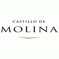 Castillo de Molina