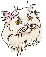 Animals - Cat Face vector 3 