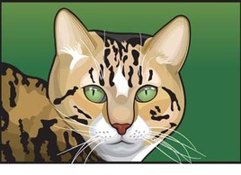 Animals - Cat Face vector 6 