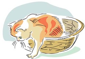 Animals - Cat vector 14 