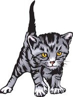 Cat vector 2