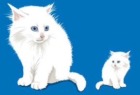 Animals - Cat vector 22 