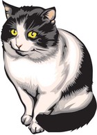 Cat vector 25