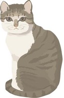 Cat vector 30