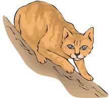 Animals - Cat vector 32 