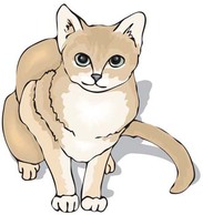 Animals - Cat vector 37 