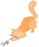 Cat vector 39