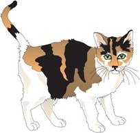 Animals - Cat vector 45 