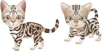 Animals - Cat vector 55 