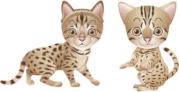 Animals - Cat vector 58 