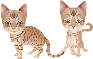 Animals - Cat vector 59 