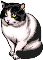 Cat vector 6