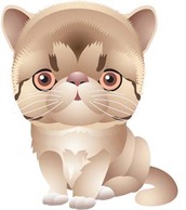 Animals - Cat vector 65 