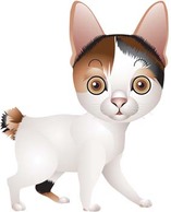 Animals - Cat vector 66 