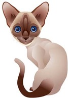 Animals - Cat vector 68 