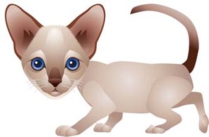 Animals - Cat vector 69 