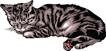 Animals - Cat vector 7 