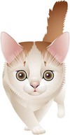 Animals - Cat vector 70 