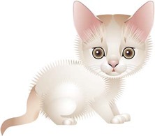 Cat vector 71