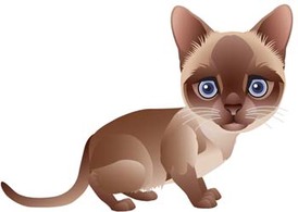 Animals - Cat vector 72 