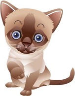 Animals - Cat vector 73 