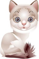 Animals - Cat vector 78 