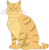 Animals - Cat vector 9 