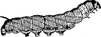 Animals - Caterpillar clip art 