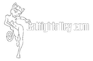 Catfight Alley