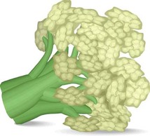 Cauliflower 1 