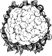 Nature - Cauliflower clip art 