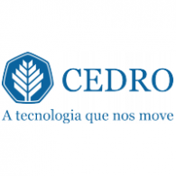 Finance - Cedro 