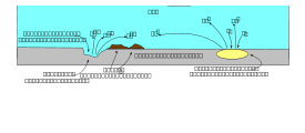 Cellule De Corrosion