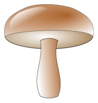 Champignon