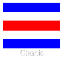 Charlie Flag 