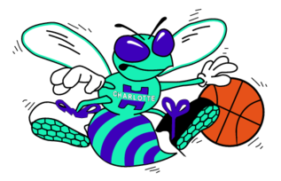 Charlotte Hornets