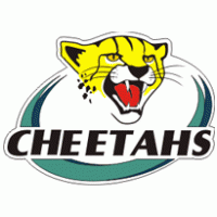 Cheetah Rugby Preview