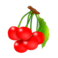 Cherries Preview