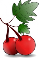 Flowers & Trees - Cherries Fruit clip art 