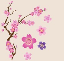 Nature - Cherry Blossoms Vector 