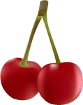 Cherry Vector Image 