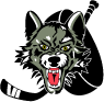 Chicago Wolves Preview