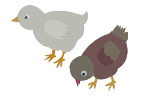 Animals - Chickens 002 Figure Color 