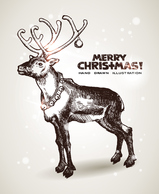 Animals - Christmas Seasons Greeting Cards 