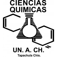 Ciencias Quimicas Preview