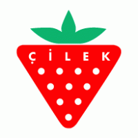 Cilek Genc Odasi