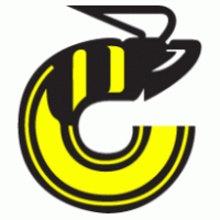 Cincinnati Stingers