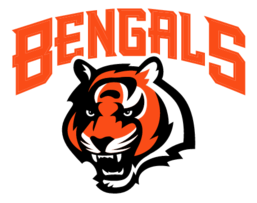 Cinncinati Bengals Preview